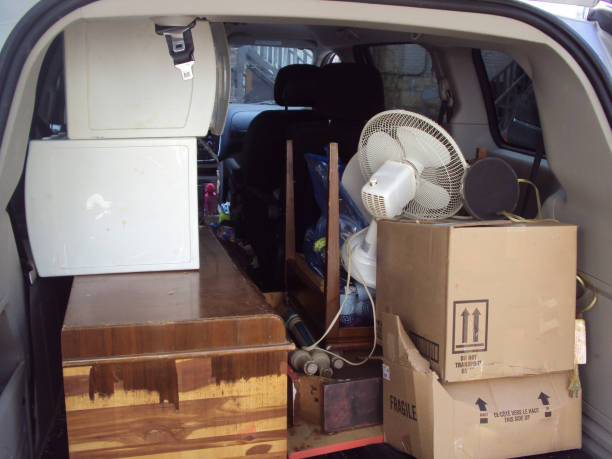 Trusted Croswell, MI Junk Removal  Experts